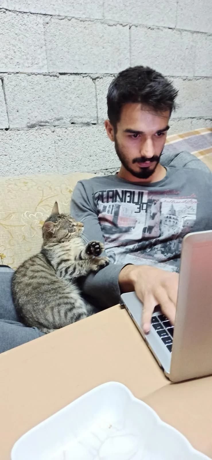 Sebahattin Efe Gökbaş 5